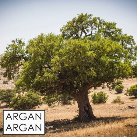 Entdecken Sie unser hochwertiges Bio-Arganöl, das aus den Nüssen des Arganbaums in Marokko gewonnen wird. Reich an essentiellen Fettsäuren und Antioxidantien, ist dieses natürliche Öl ideal für die Haut- und Haarpflege. Es spendet Feuchtigkeit, fördert die Elastizität der Haut und verleiht dem Haar einen strahlenden Glanz. Nutzen Sie Bio-Arganöl auch in der Küche für ein gesundes Geschmackserlebnis. Perfekt für Salate und Dressings! Genießen Sie die vielseitigen Vorteile unseres Bio-Arganöls und unterstützen Sie nachhaltige Anbaumethoden.